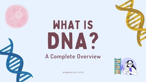 Image depicting the question 'What is DNA?'.