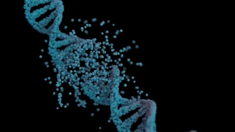 Image depicting a break on DNA.